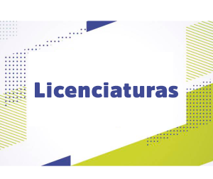 licenciaturas