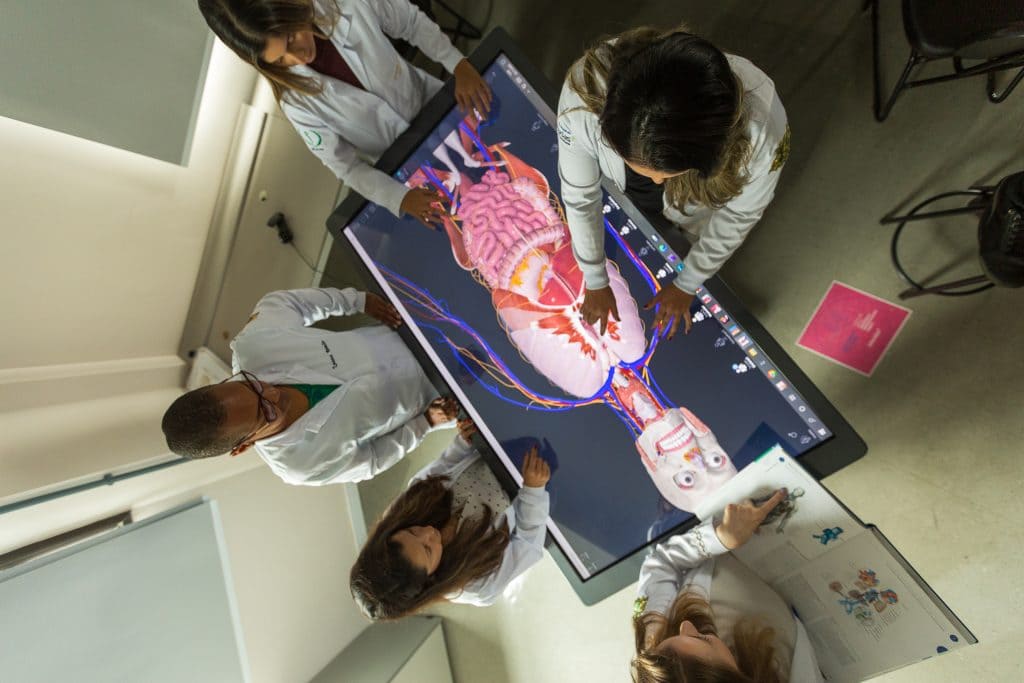 Iniciação Cientifica - Universidade São Judas Tadeu